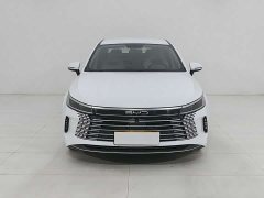 BYD Destroyer 05 Honor Edition DM-i 55KM Luxury Type - фото 9