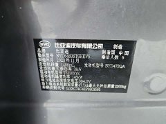 BYD Song PLUS New Energy 2023 Champion Edition DM-i 110KM Flagship PLUS - фото 7