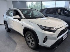 Toyota RAV4 Rongfang 2023 2.0L CVT two-wheel drive 20th anniversary platinum commemorative edition - фото 3