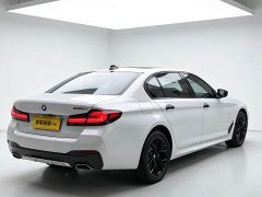 BMW 5 Series 530Li Exclusive M Sports Package - фото 8