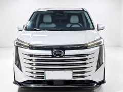 Trumpchi E9 MAX - фото 2