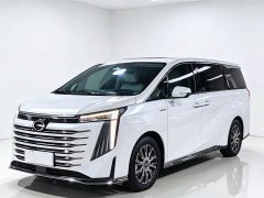 Trumpchi E9 MAX - фото 3