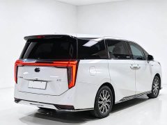 Trumpchi E9 MAX - фото 9