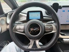BYD Dolphin 2025 420km Free Edition - фото 10