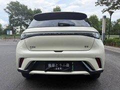 BYD Dolphin 2025 420km Free Edition - фото 16