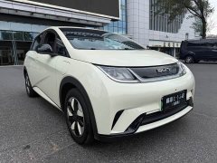 BYD Dolphin 2025 420km Free Edition - фото 3