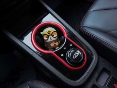 Chery Little Ant 2024 251km True Love Edition - фото 17