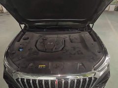 Hongqi HS5 facelift 2.0T Zhilian Flagship Edition - фото 16