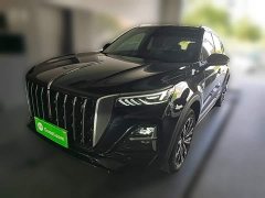 Hongqi HS5 2025 2.0T four-wheel drive Qixiang Pro version - фото 3