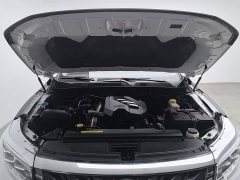 Ruiqi 7 2023 2.3T automatic four-wheel drive diesel flagship - фото 6