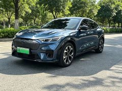 Ford Electric Horse 2021 Borderless Rear-Drive Deluxe Edition (Long Range) - фото 1