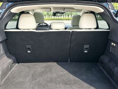 Ford Electric Horse 2021 Borderless Rear-Drive Deluxe Edition (Long Range) - фото 10
