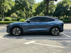 Ford Electric Horse 2021 Borderless Rear-Drive Deluxe Edition (Long Range) - фото 13