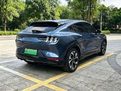 Ford Electric Horse 2021 Borderless Rear-Drive Deluxe Edition (Long Range) - фото 14