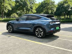 Ford Electric Horse 2021 Borderless Rear-Drive Deluxe Edition (Long Range) - фото 15