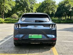 Ford Electric Horse 2021 Borderless Rear-Drive Deluxe Edition (Long Range) - фото 16