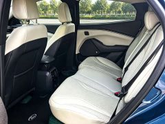 Ford Electric Horse 2021 Borderless Rear-Drive Deluxe Edition (Long Range) - фото 6