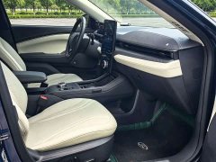 Ford Electric Horse 2021 Borderless Rear-Drive Deluxe Edition (Long Range) - фото 7