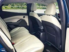 Ford Electric Horse 2021 Borderless Rear-Drive Deluxe Edition (Long Range) - фото 8