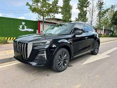 Hongqi HS5 2023 2.0T Qixiang Pro version - фото 1