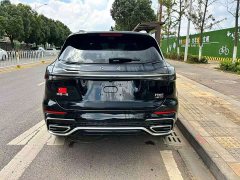 Hongqi HS5 2023 2.0T Qixiang Pro version - фото 9