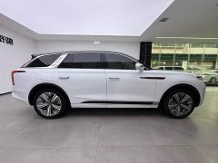 Hongqi E-HS9 690km flagship version six seats - фото 20