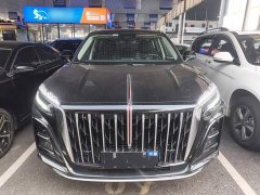Hongqi HS3 PHEV 2024 115km Jinwei Edition - фото 3