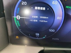Hongqi HS7 PHEV 2.0T PHEV four-wheel drive Qichang version 6 seats - фото 12