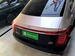 Hongqi H9 2020 3.0T Zhilian Qiling four-seater version - фото 6