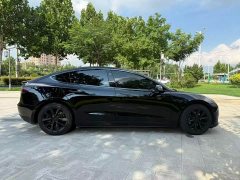 Tesla Model 3 Standard Range Rear Drive Upgraded Version - фото 4