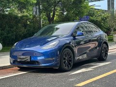 Tesla Model Y long-range all-wheel drive version - фото 1