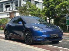Tesla Model Y long-range all-wheel drive version - фото 4
