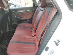 Ford EADO PLUS Blue Whale NE 1.4T GDI DCT flagship - фото 17