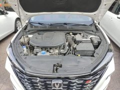Ford EADO PLUS Blue Whale NE 1.4T GDI DCT flagship - фото 20