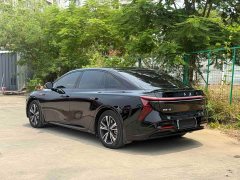 Hongqi EH7 2024 690 Pro - фото 8