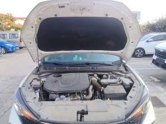Ford EADO 2020 PLUS Blue Whale NE 1.4T GDI DCT Premium Type - фото 20
