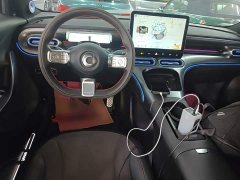smart elf #1 2022 BRABUS performance version - фото 10