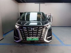 Denza D9 2024 DM-i 980 four-wheel drive premium - фото 3