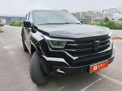 Tank 400 New Energy Hi4-T City Edition - фото 3