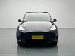 Tesla Model Y rear-wheel drive version - фото 2