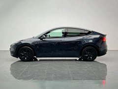 Tesla Model Y rear-wheel drive version - фото 3