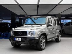 Mercedes-Benz G-Class G 450 d Korean version - фото 1