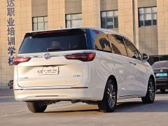 Buick GL8 2023 ES Lu Zun Exclusive - фото 17