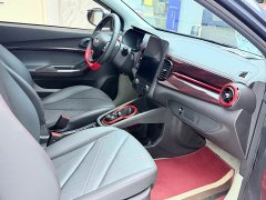 Chery Little Ant 2023 251km True Love Edition Lithium Iron Phosphate - фото 13