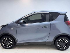 Chery Little Ant 2023 251km True Love Edition Lithium Iron Phosphate - фото 4