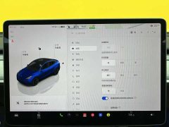 Tesla Model Y long-range all-wheel drive version - фото 11