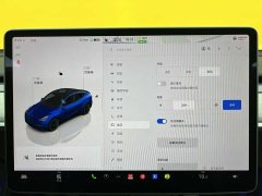 Tesla Model Y long-range all-wheel drive version - фото 14