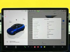 Tesla Model Y long-range all-wheel drive version - фото 16