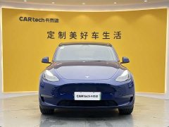 Tesla Model Y long-range all-wheel drive version - фото 2