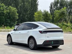 Tesla Model Y L 2025 long-range all-wheel drive version - фото 16
